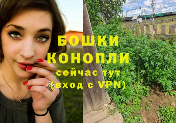 гашик Нефтегорск
