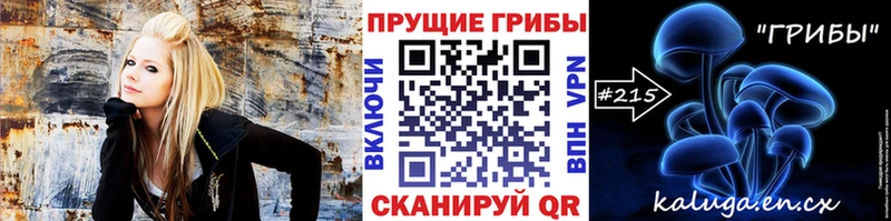 блэк спрут рабочий сайт как найти закладки Новоаннинский Псилоцибиновые грибы мухоморы