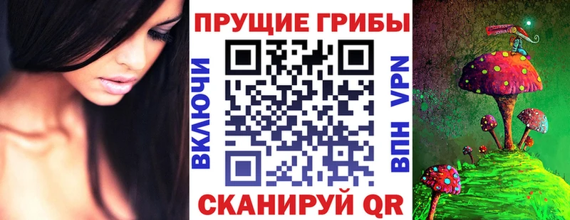 Псилоцибиновые грибы прущие грибы Новоаннинский