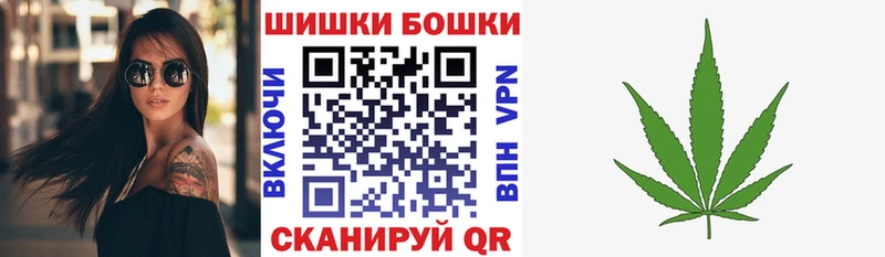как найти   Новоаннинский  Каннабис ГИДРОПОН 